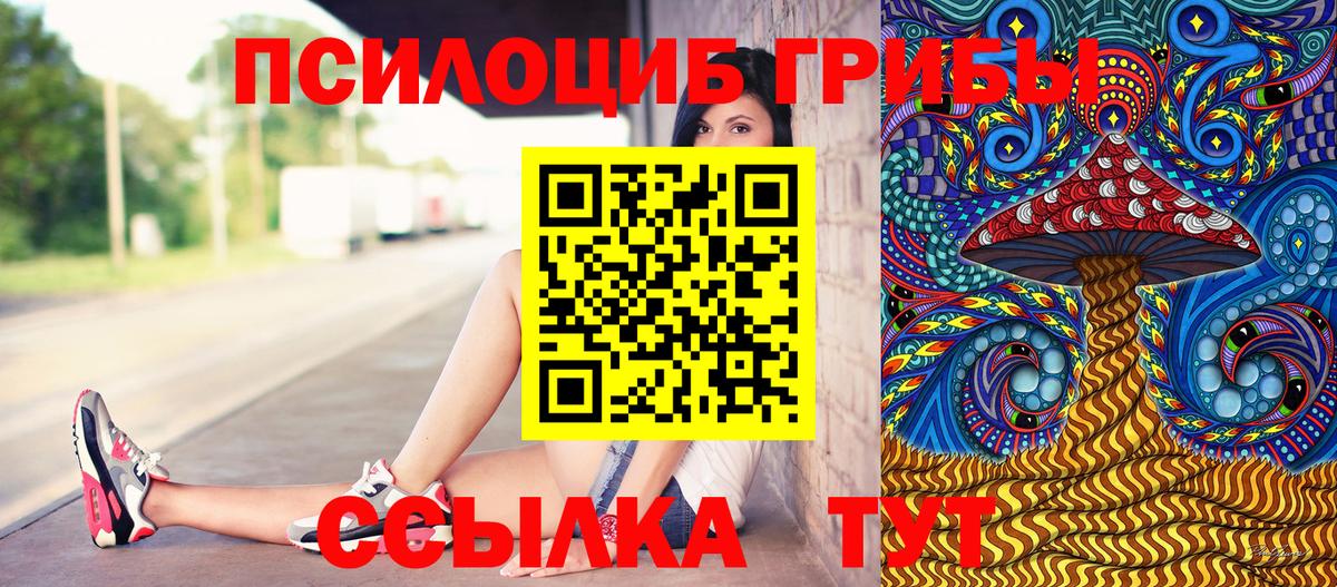 хочу наркоту  Псилоцибиновые грибы MAGIC MUSHROOMS  Вход с VPN  Галлюциногенные грибы прущие грибы  Котовск 